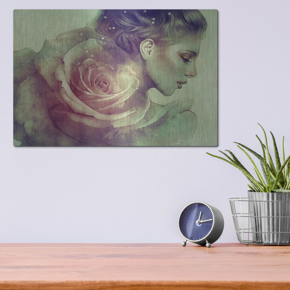 'June' by Anna Dittman – Metal Wall Art, 16x12 room view