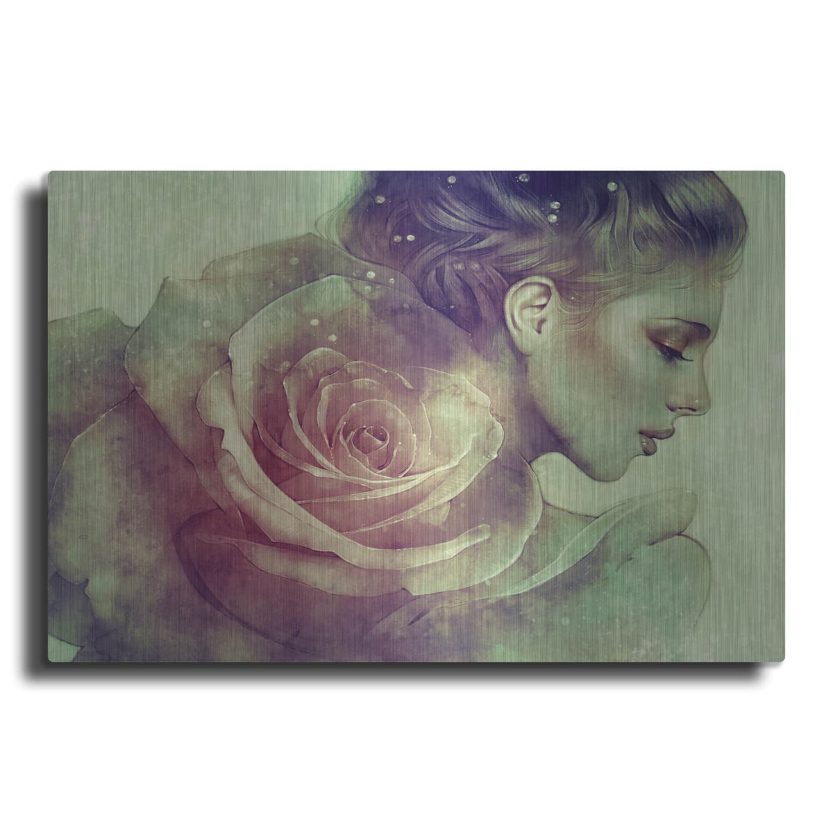 'June' by Anna Dittman – Metal Wall Art