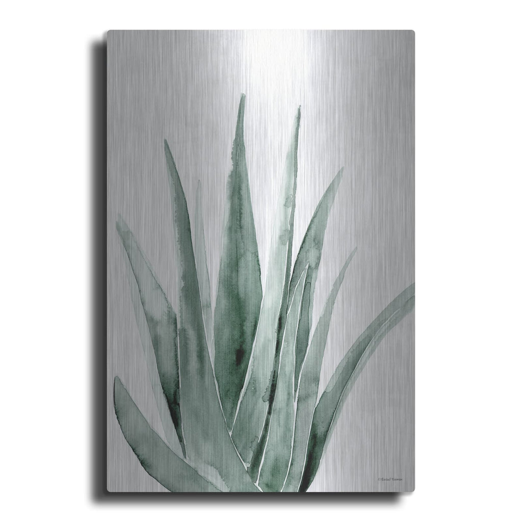 'Summer Botanicals 2' by Rachel Nieman – Metal Wall Art