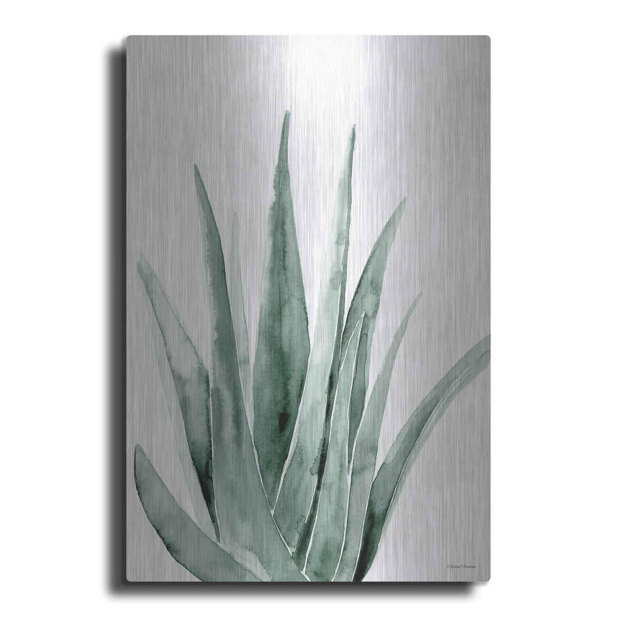 'Summer Botanicals 2' by Rachel Nieman – Metal Wall Art