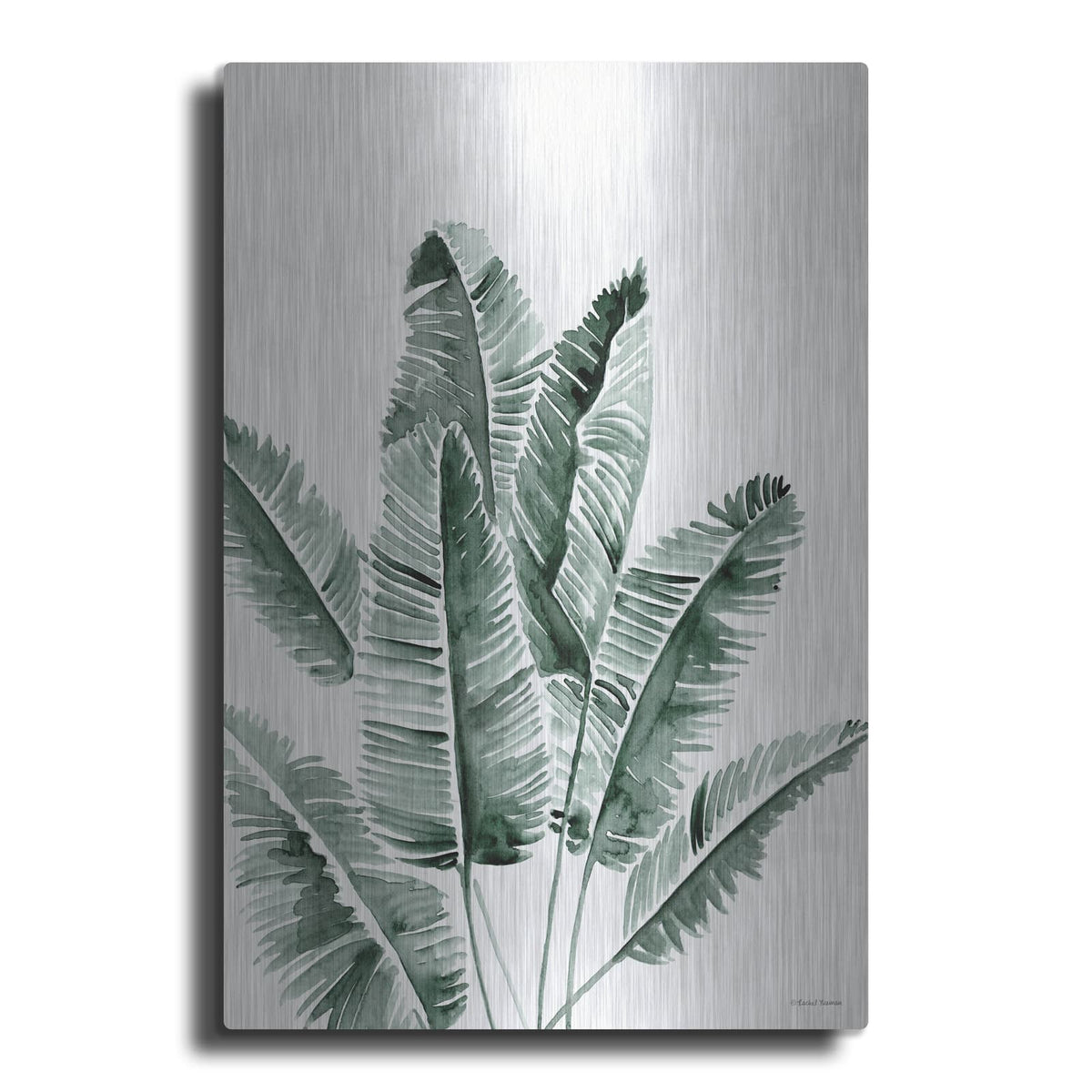 'Summer Botanicals 3' by Rachel Nieman – Metal Wall Art