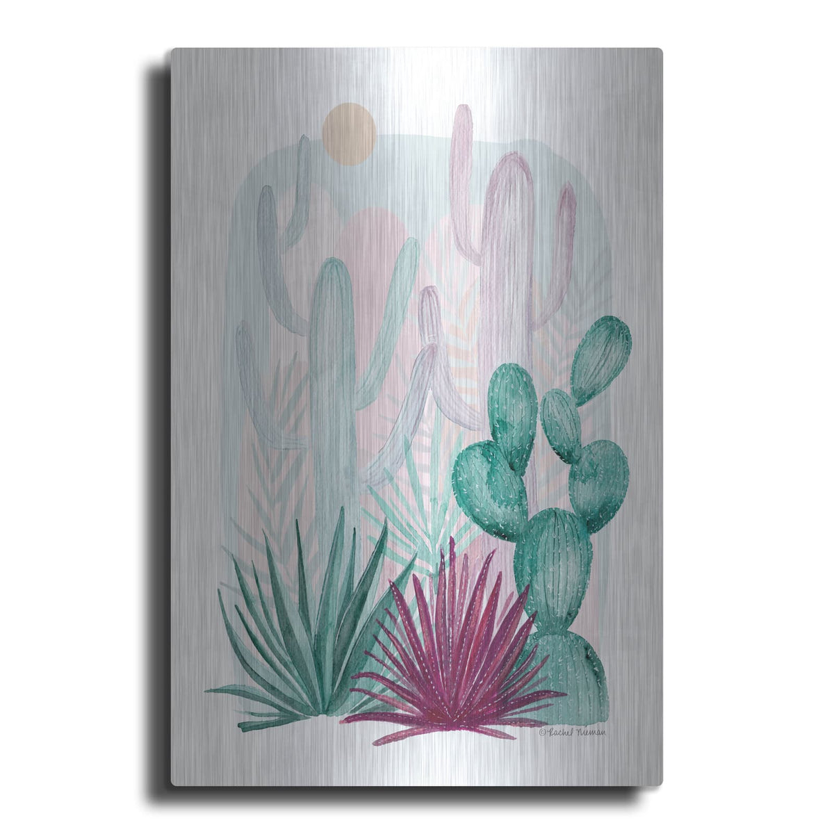 'Cactus Summer' by Rachel Nieman – Metal Wall Art