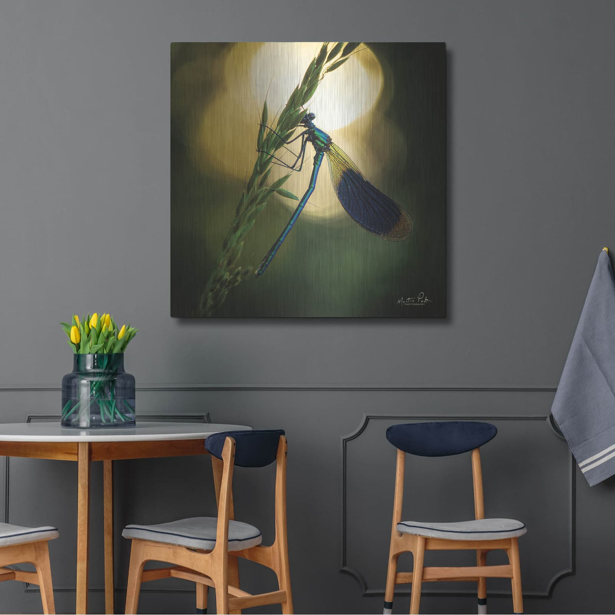 'Damselfly in Backlight' by Martin Podt – Metal Wall Art, 36x36 room view