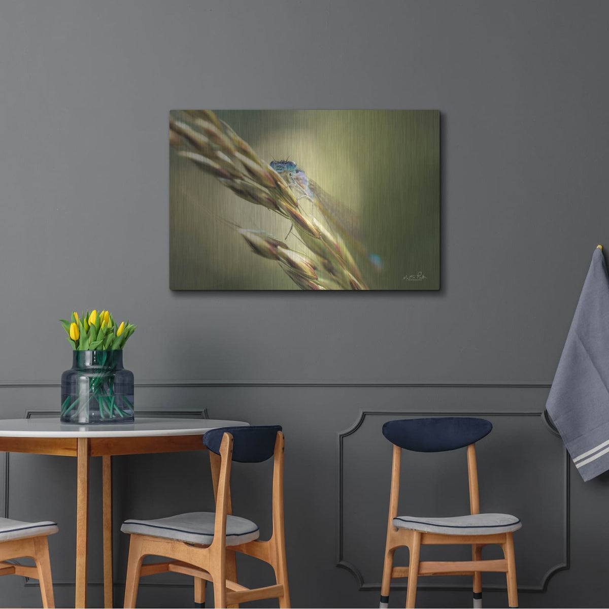 'Damselfly' by Martin Podt – Metal Wall Art, 36x24 room view