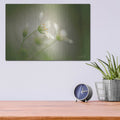 'Stellaria' by Martin Podt – Metal Wall Art, 16x12 room view