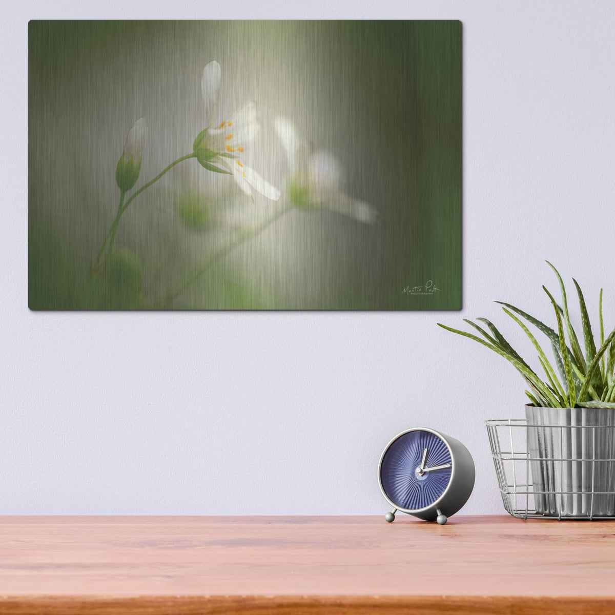 'Stellaria' by Martin Podt – Metal Wall Art, 16x12 room view