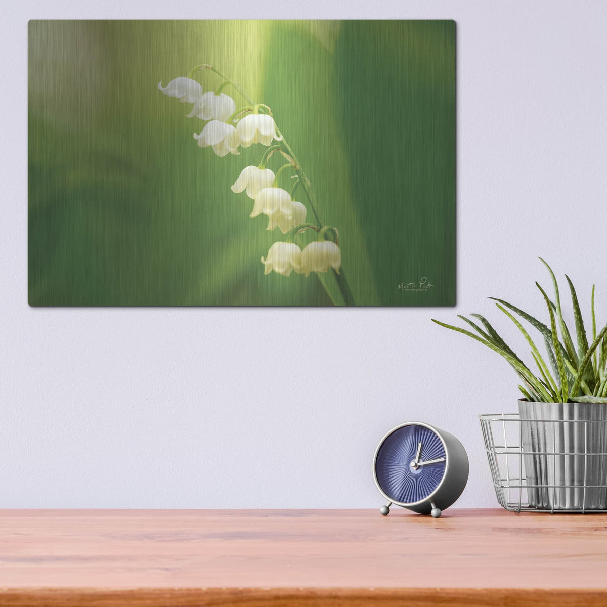 'Lily of the Valley' by Martin Podt – Metal Wall Art, 16x12 room view