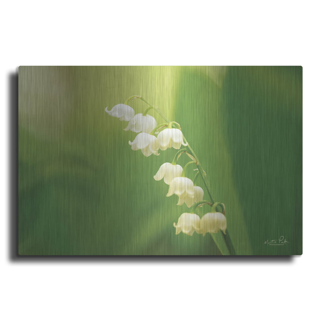 'Lily of the Valley' by Martin Podt – Metal Wall Art