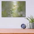 'Lingonberry' by Martin Podt – Metal Wall Art, 16x12 room view
