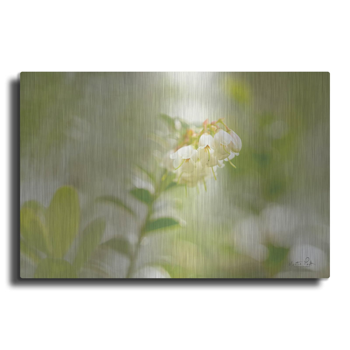 'Lingonberry' by Martin Podt – Metal Wall Art