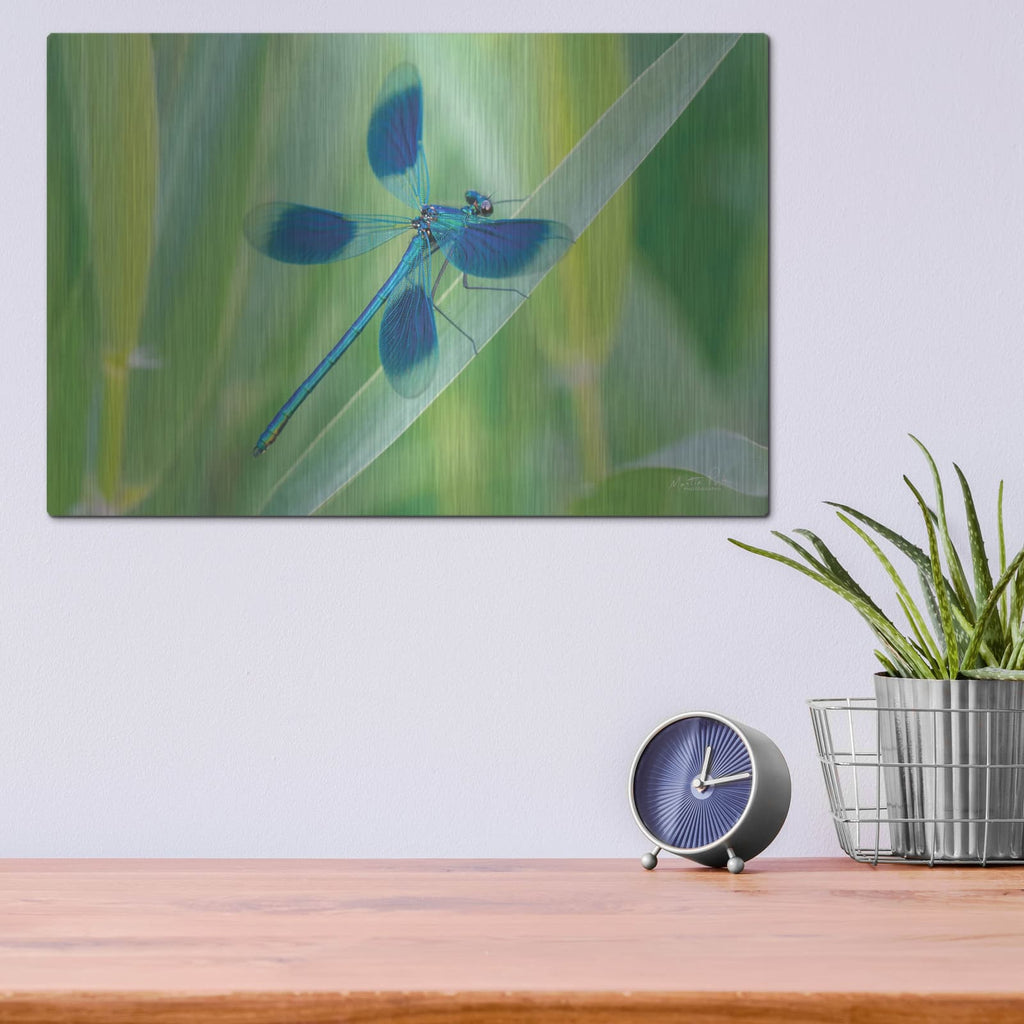 'Damselfly in Blue' by Martin Podt – Metal Wall Art, 16x12 room view