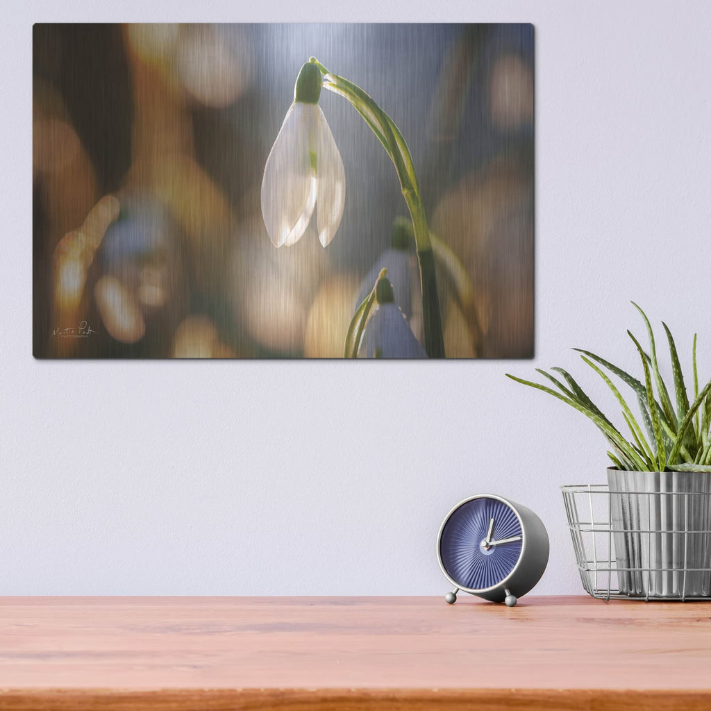 'Shining Beauty' by Martin Podt – Metal Wall Art, 16x12 room view