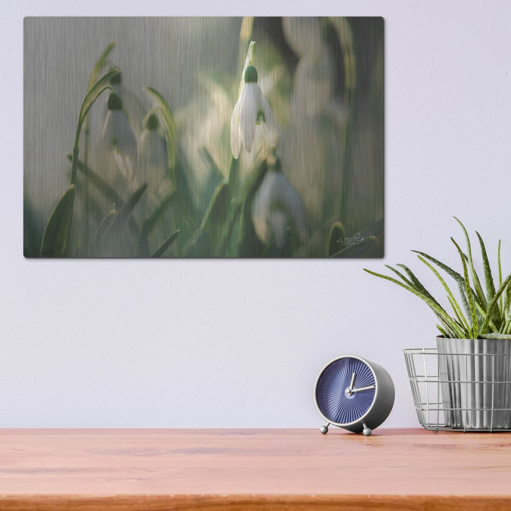 'Snowdrops' by Martin Podt – Metal Wall Art, 16x12 room view