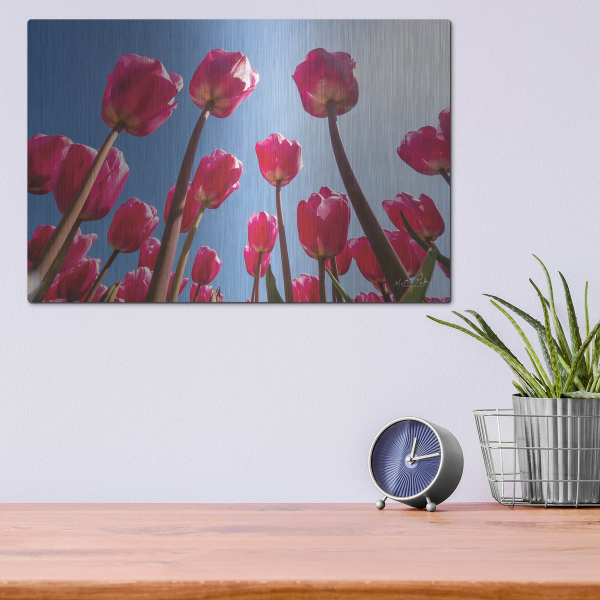 'Look Up in Pink' by Martin Podt – Metal Wall Art, 16x12 room view