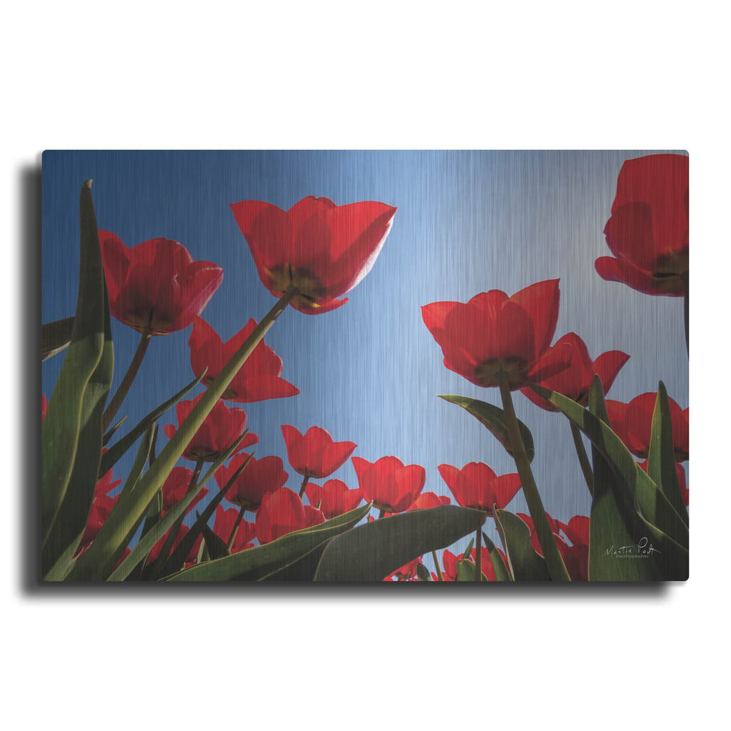 'Look Up in Red' by Martin Podt – Metal Wall Art