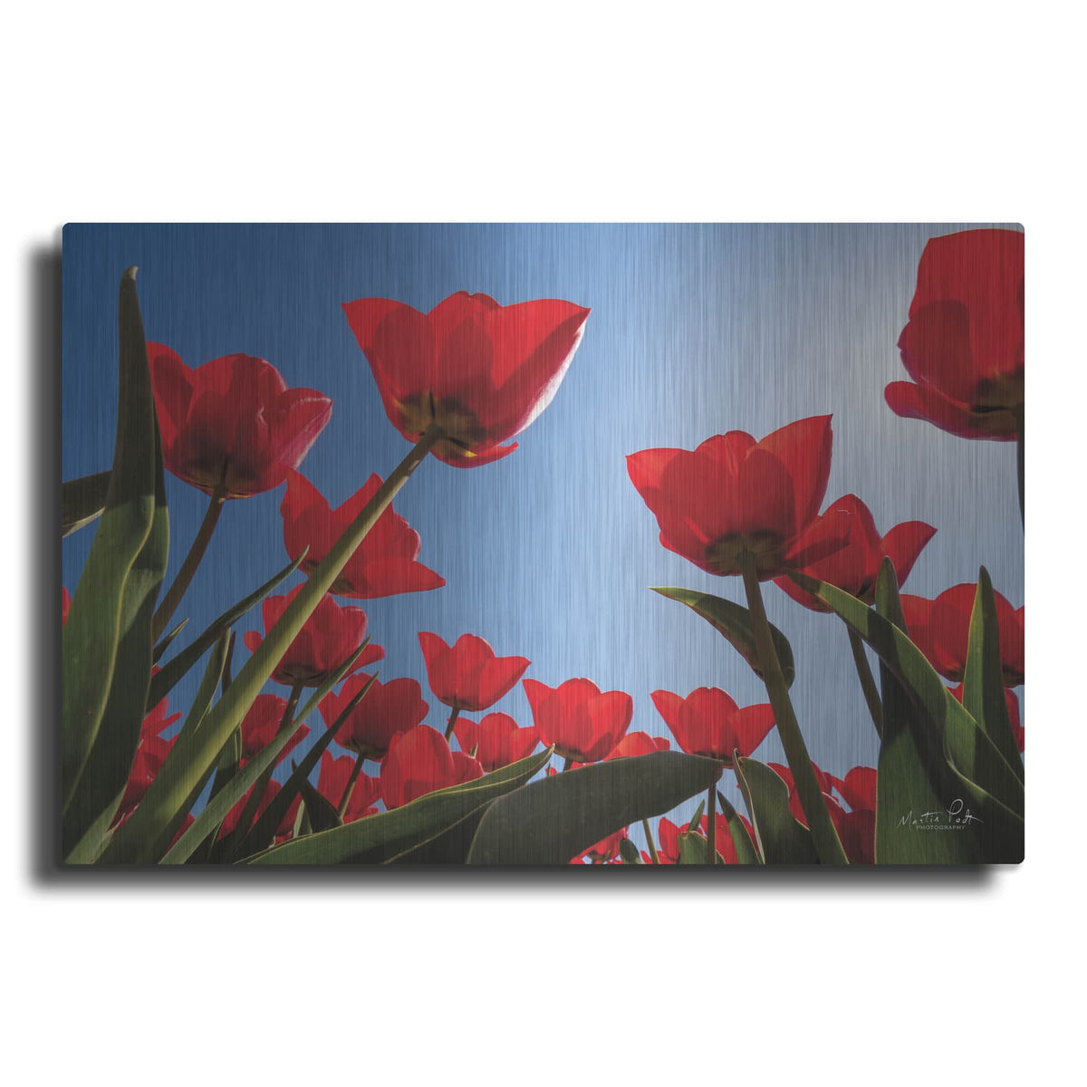 'Look Up in Red' by Martin Podt – Metal Wall Art