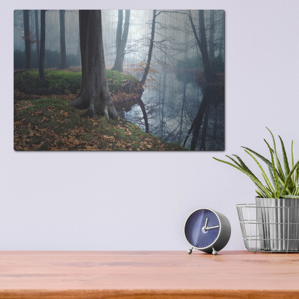 'Creepy Outside World' by Martin Podt – Metal Wall Art, 16x12 room view