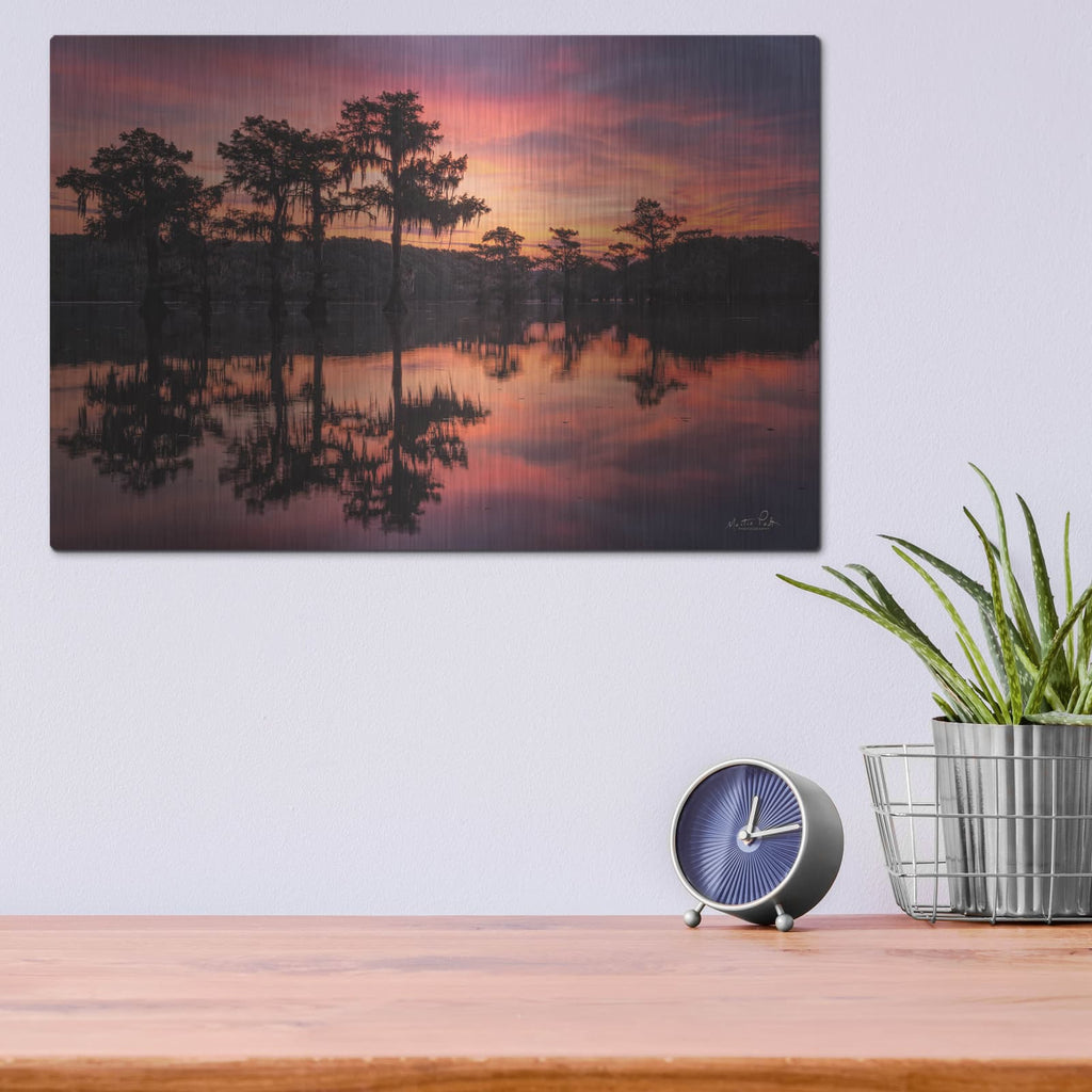 'Swamp on Fire' by Martin Podt – Metal Wall Art, 16x12 room view