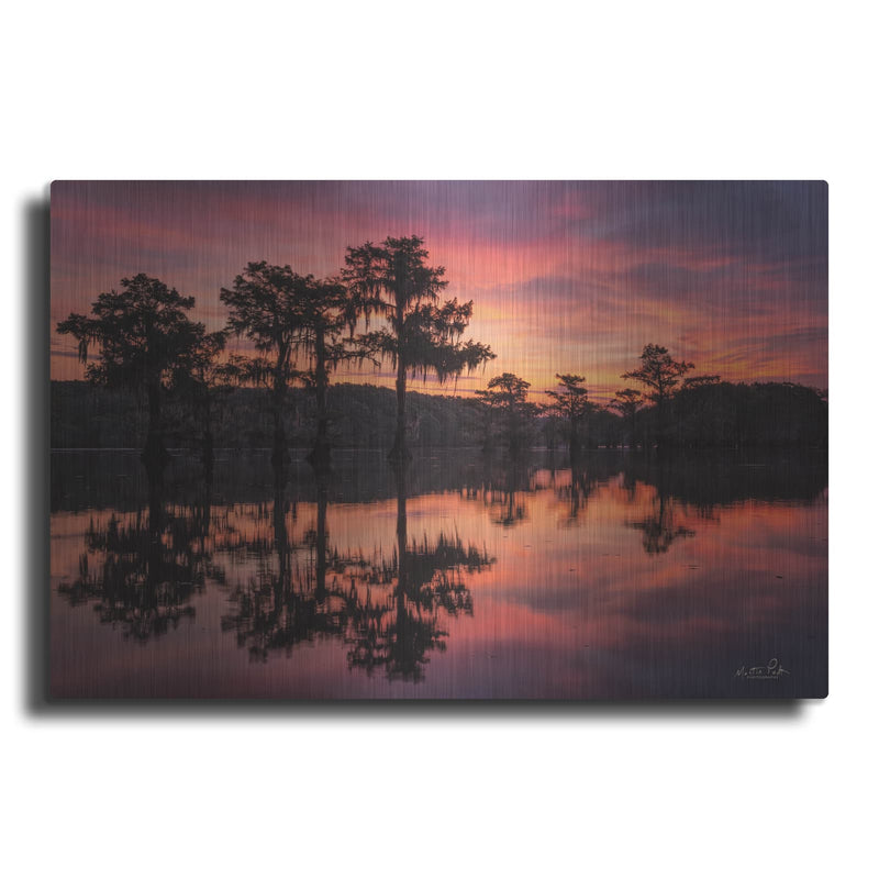 'Swamp on Fire' by Martin Podt – Metal Wall Art