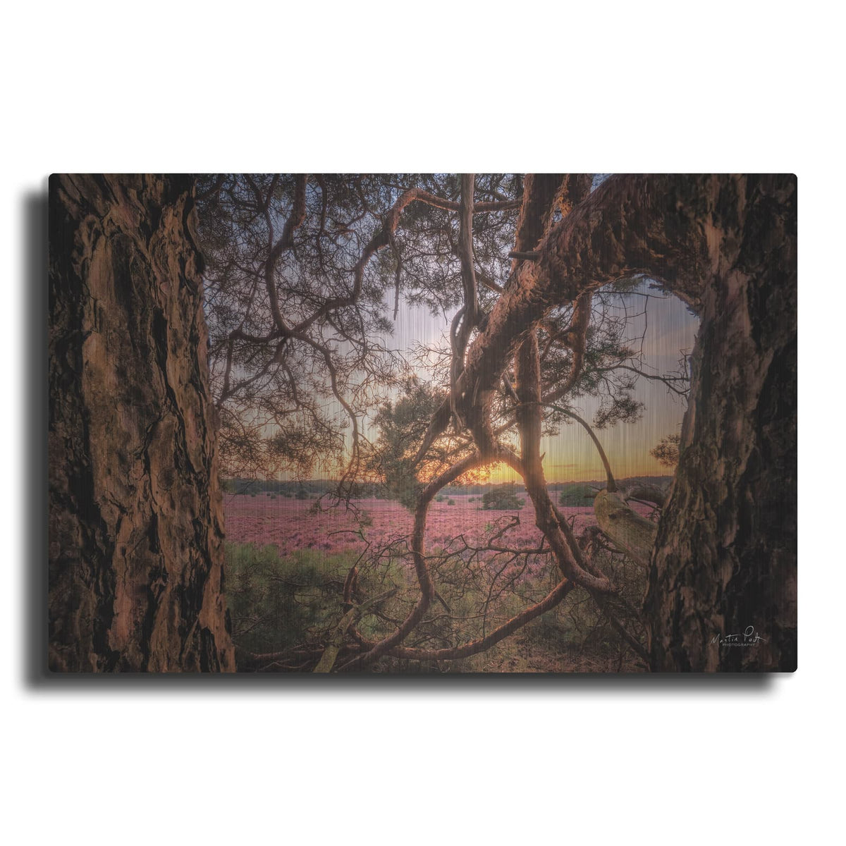 'In Between' by Martin Podt – Metal Wall Art