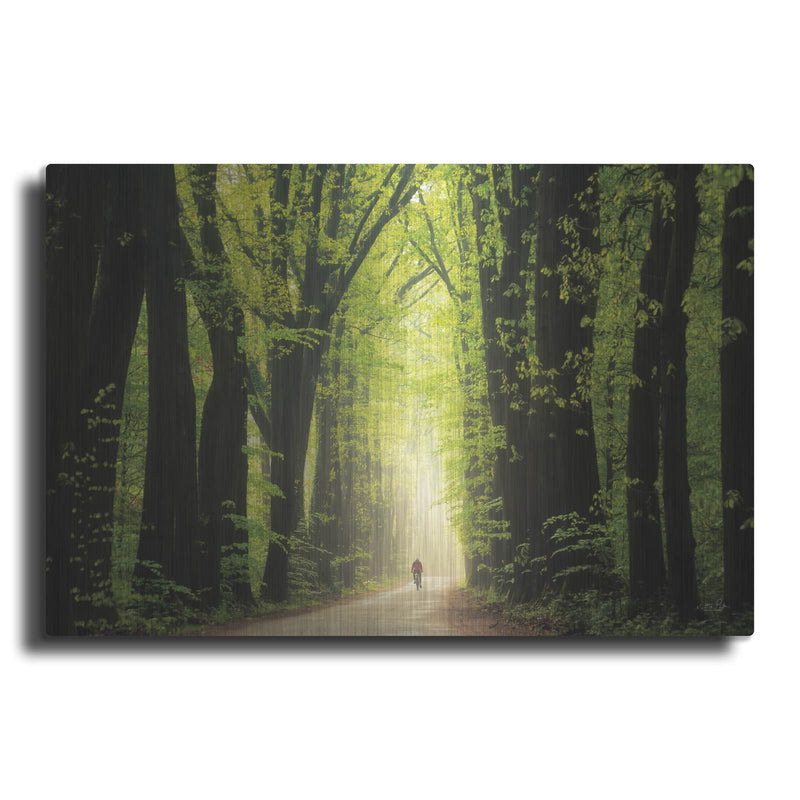 'Among Giants in Springtime' by Martin Podt – Metal Wall Art