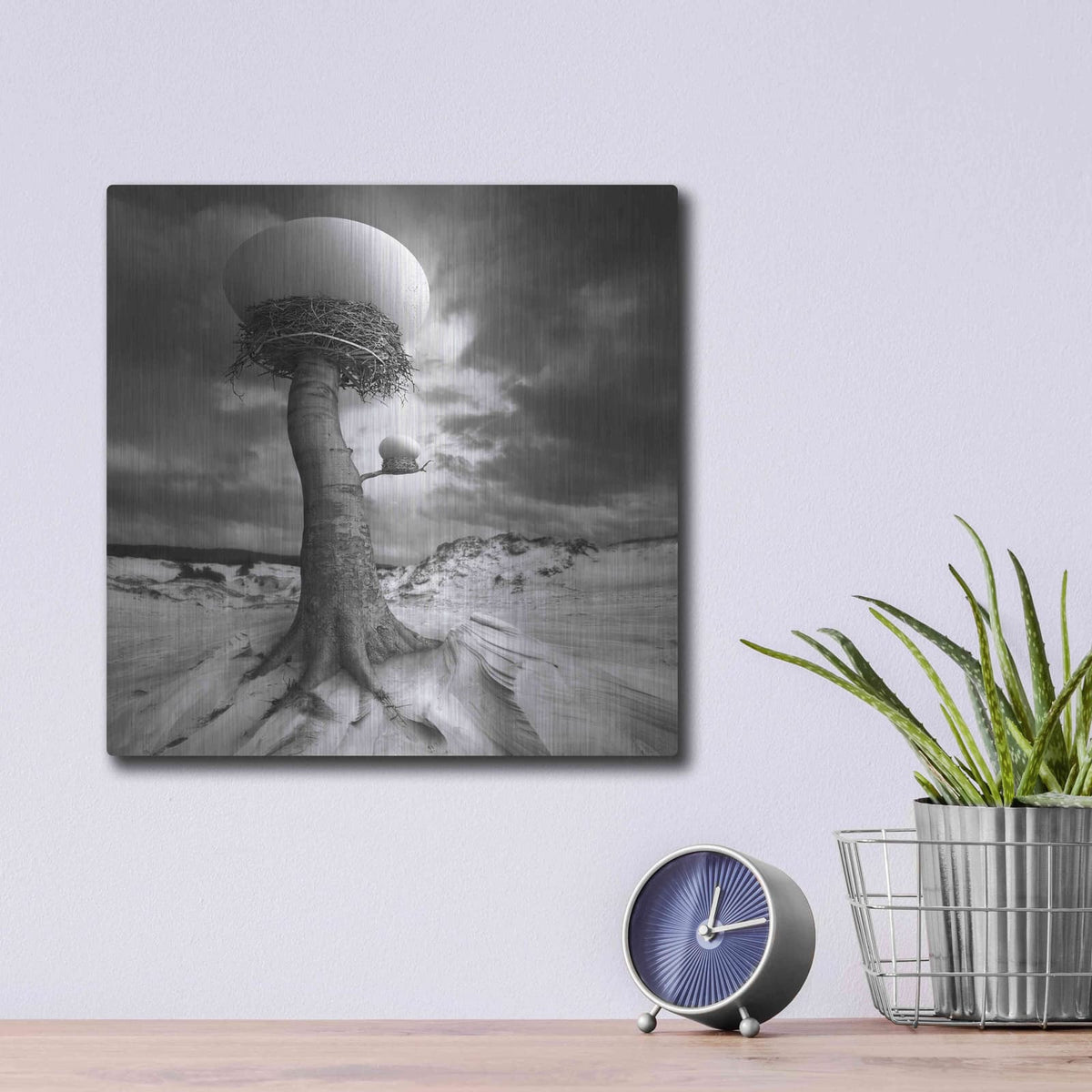 '2nests' by Dariusz Klimczak – Metal Wall Art, 12x12 room view
