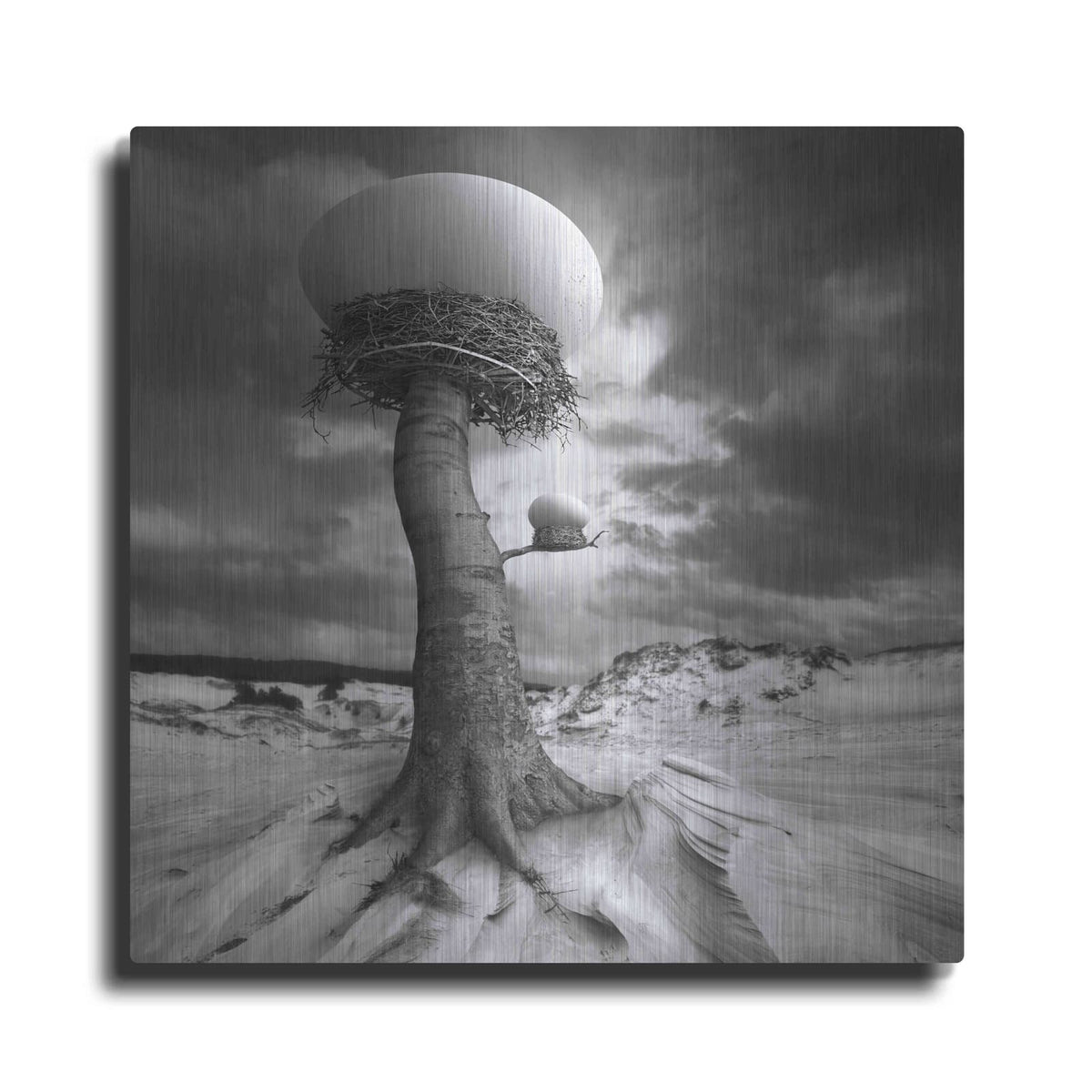 '2nests' by Dariusz Klimczak – Metal Wall Art