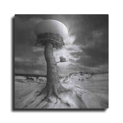 '2nests' by Dariusz Klimczak – Metal Wall Art