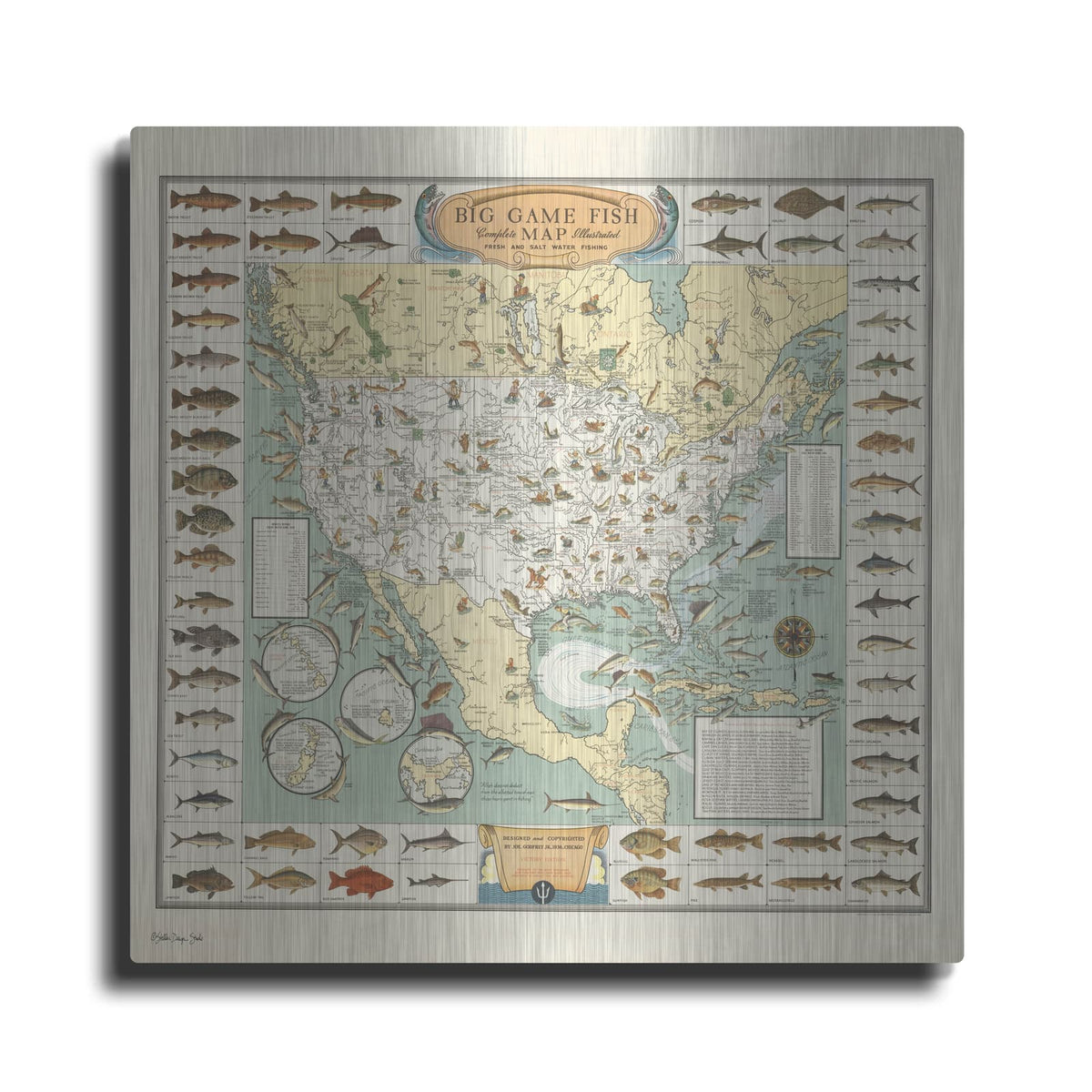 'Big Game Fish Map' by Stellar Design Studio – Metal Wall Art
