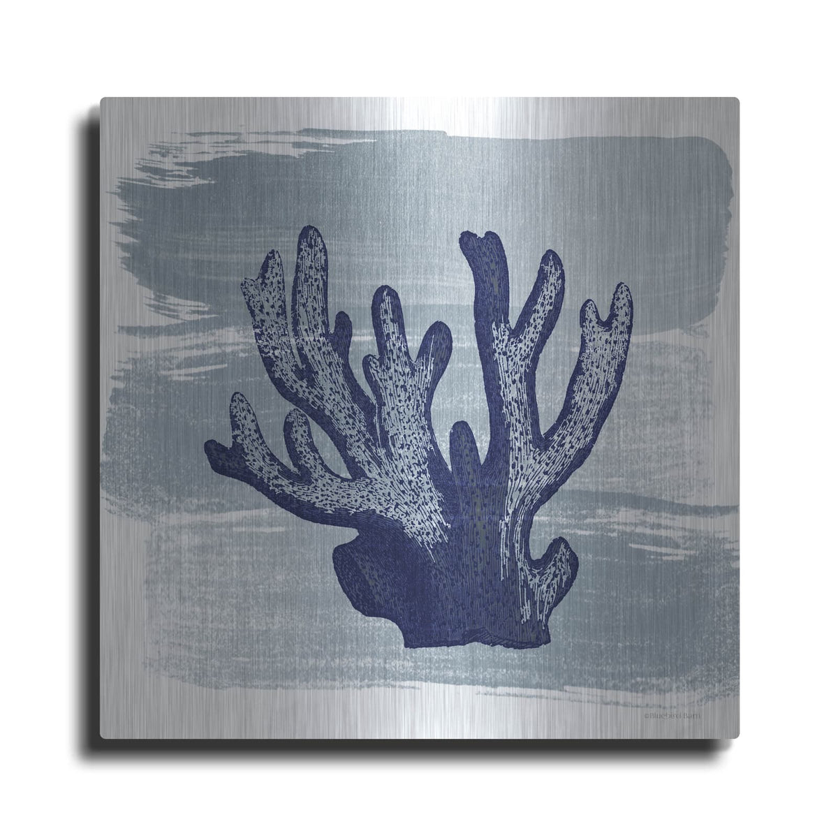 'Brushed Midnight Blue Elkhorn Coral' by Bluebird Barn – Metal Wall Art