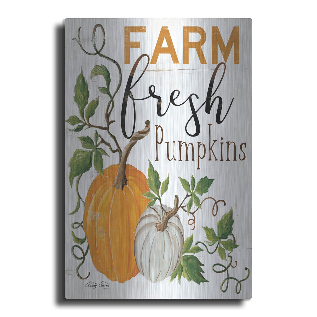'Farm Fresh Pumpkins' by Cindy Jacobs – Metal Wall Art
