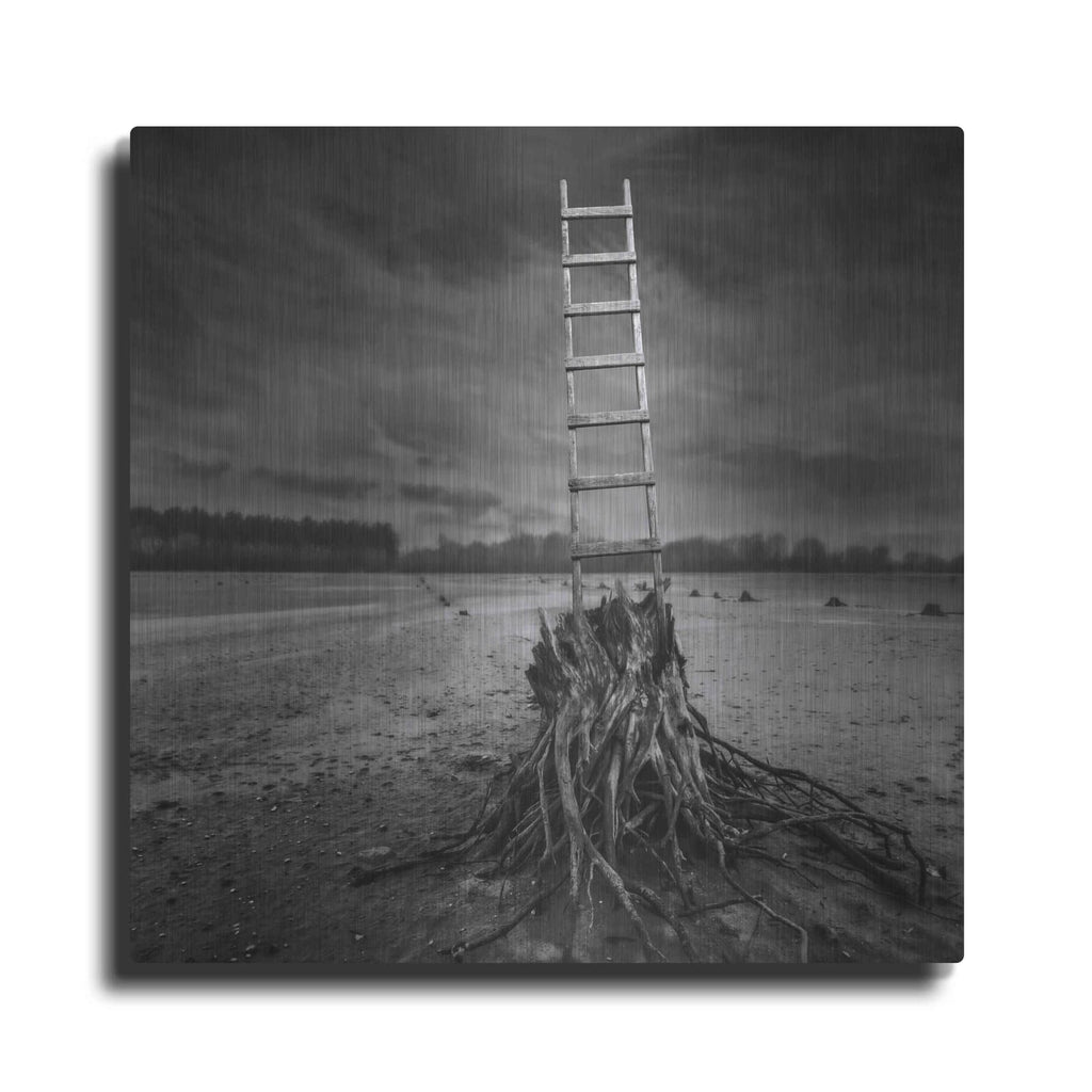 'Drabinka' by Dariusz Klimczak – Metal Wall Art