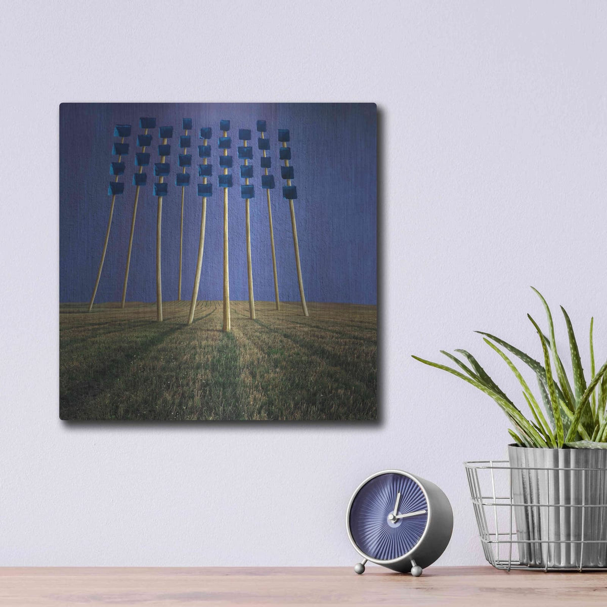 'Flowers' by Dariusz Klimczak – Metal Wall Art, 12x12 room view