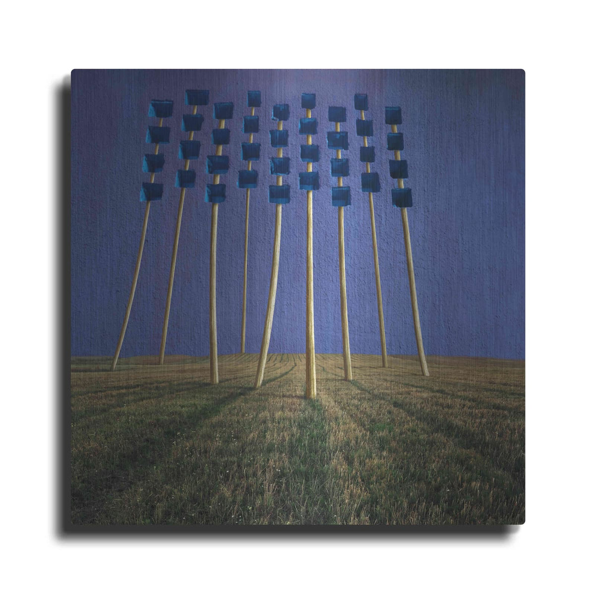 'Flowers' by Dariusz Klimczak – Metal Wall Art