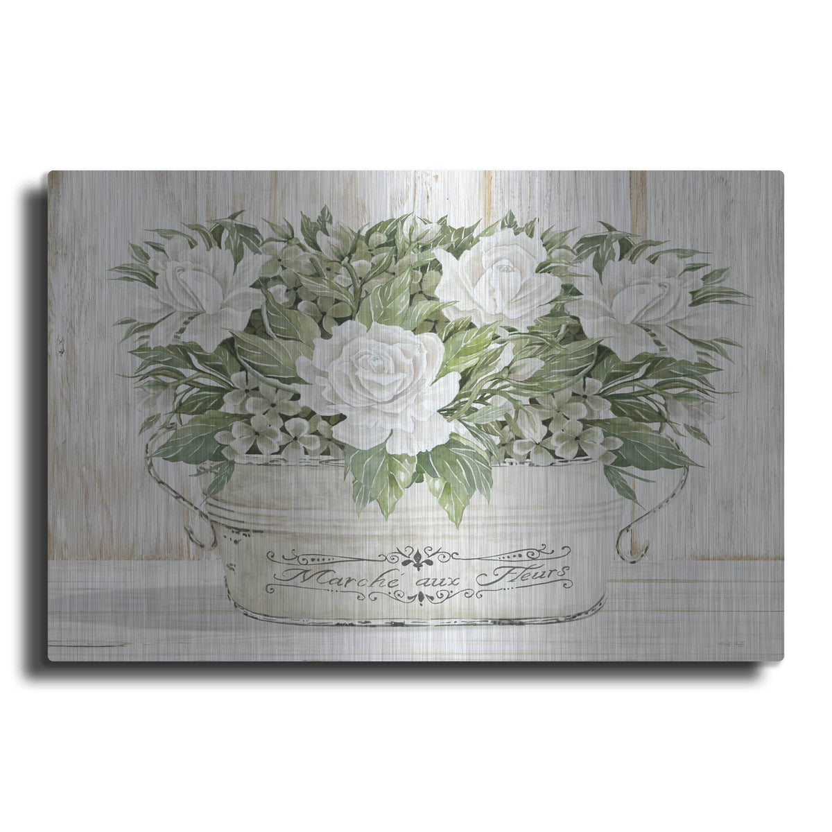 'Roses in White' by Cindy Jacobs – Metal Wall Art