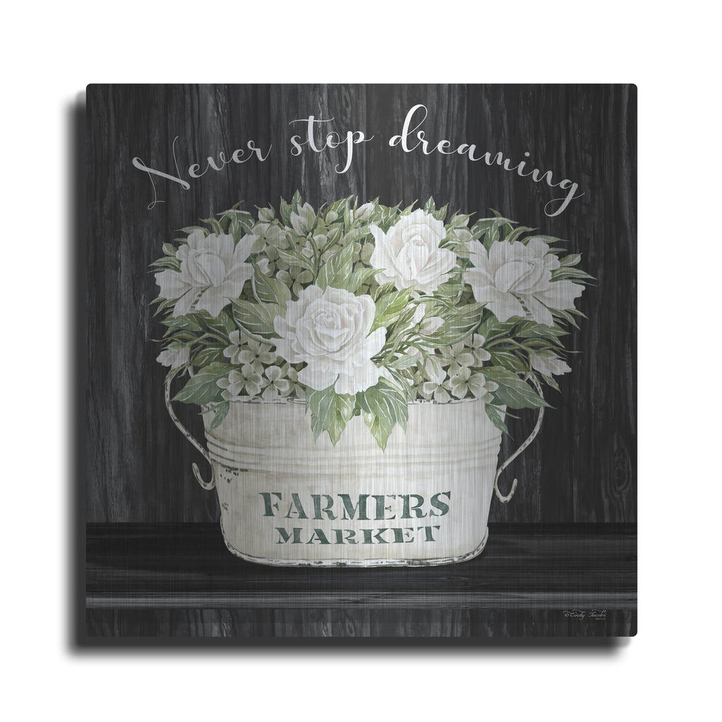 'Never Stop Dreaming' by Cindy Jacobs – Metal Wall Art