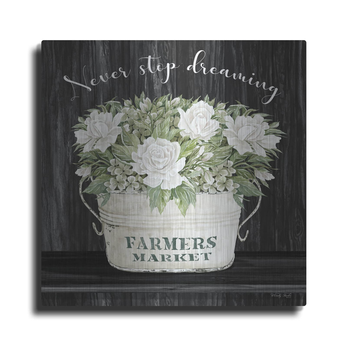 'Never Stop Dreaming' by Cindy Jacobs – Metal Wall Art