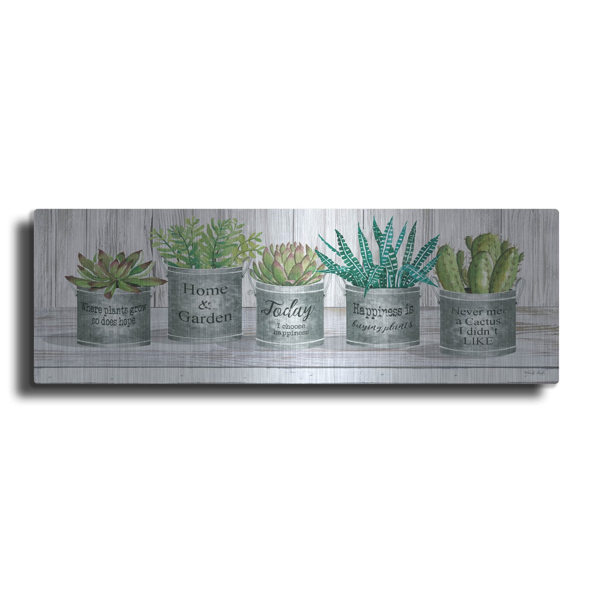 'Galvanized Pot Succulents II' by Cindy Jacobs – Metal Wall Art