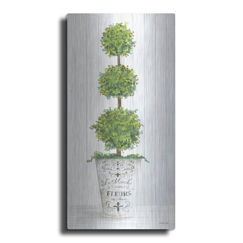 'Magnificent Topiary I' by Cindy Jacobs – Metal Wall Art