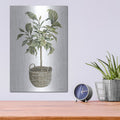 'Fig Tree I' by Cindy Jacobs – Metal Wall Art, 12x16 room view