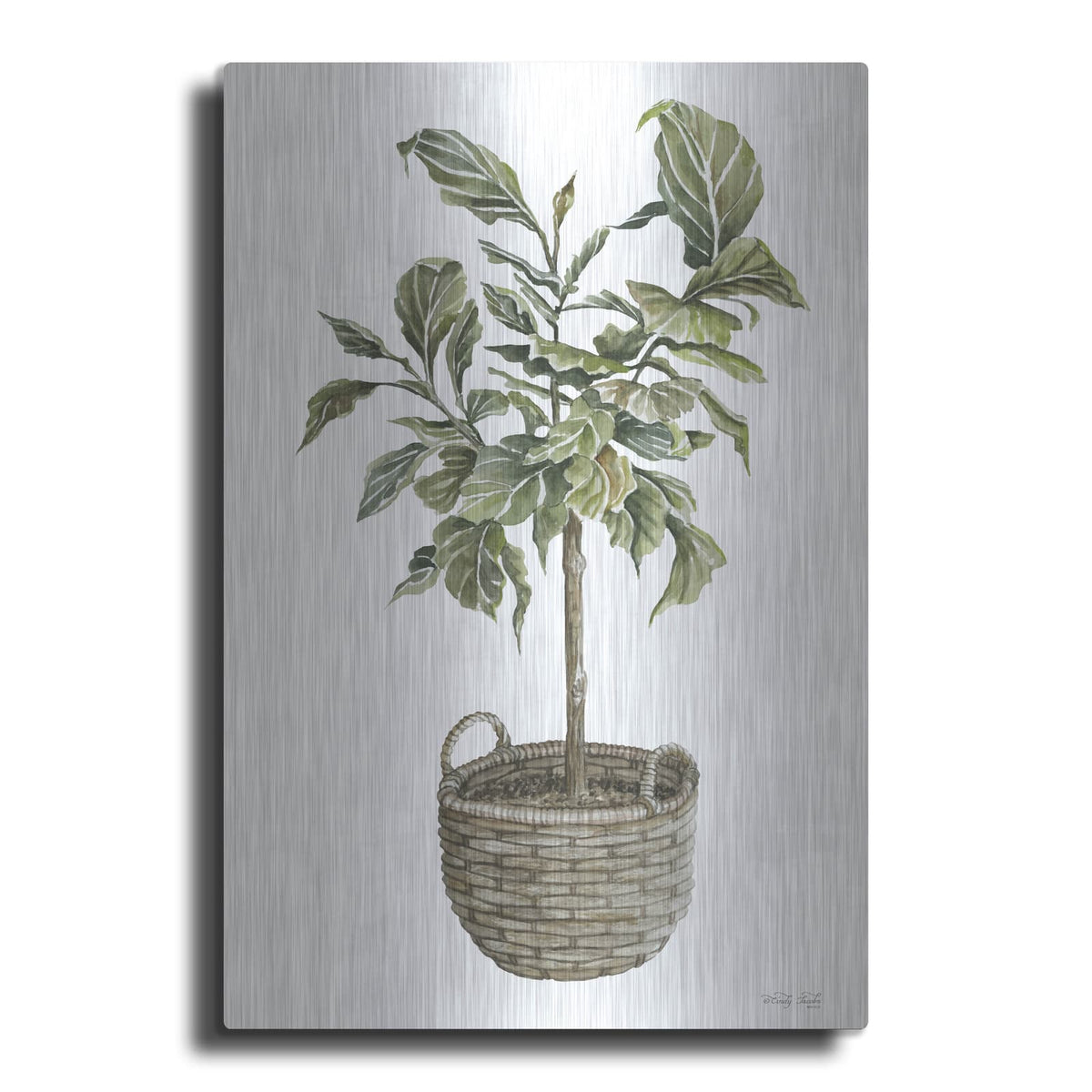 'Fig Tree I' by Cindy Jacobs – Metal Wall Art