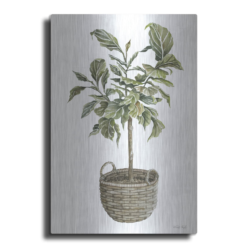 'Fig Tree I' by Cindy Jacobs – Metal Wall Art