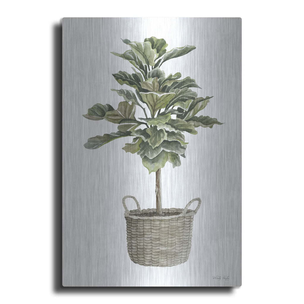 'Fig Tree II' by Cindy Jacobs – Metal Wall Art