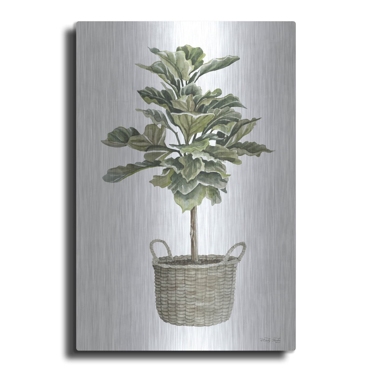 'Fig Tree II' by Cindy Jacobs – Metal Wall Art