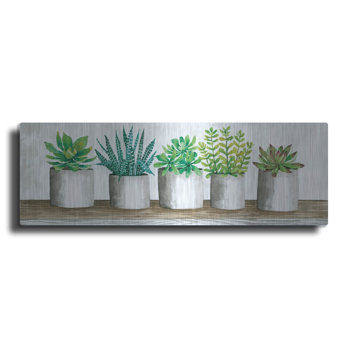 'Succulent Pots' by Cindy Jacobs – Metal Wall Art