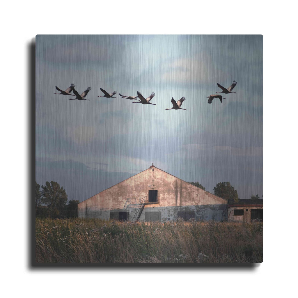 'Oktet' by Dariusz Klimczak – Metal Wall Art