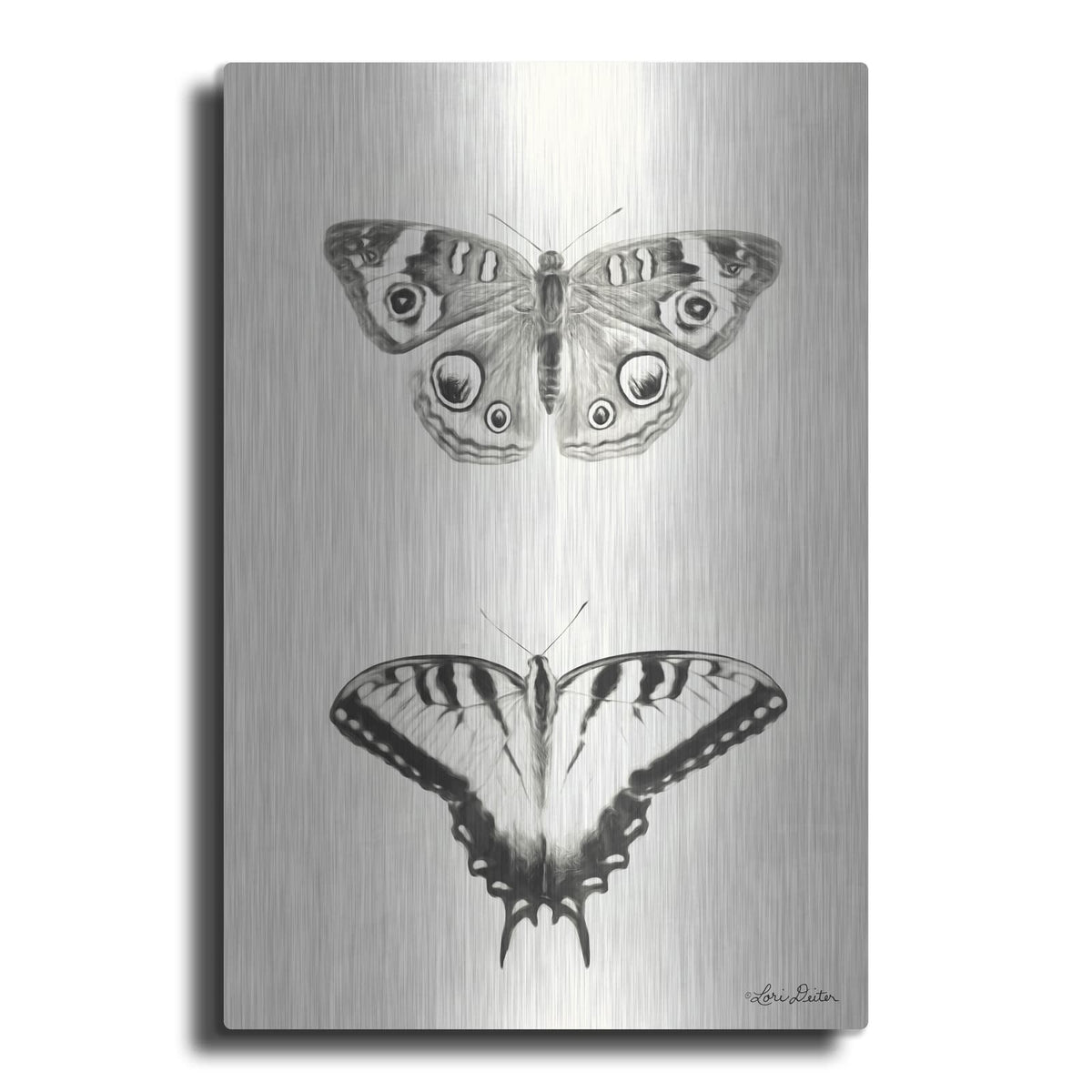 'Butterflies' by Lori Deiter – Metal Wall Art