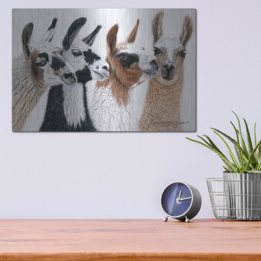 'Peruvian Visitors' by Jan Henderson – Metal Wall Art, 16x12 room view