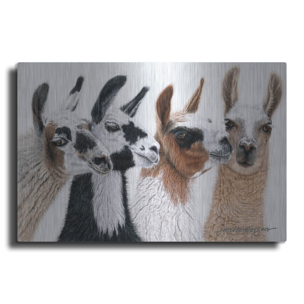'Peruvian Visitors' by Jan Henderson – Metal Wall Art