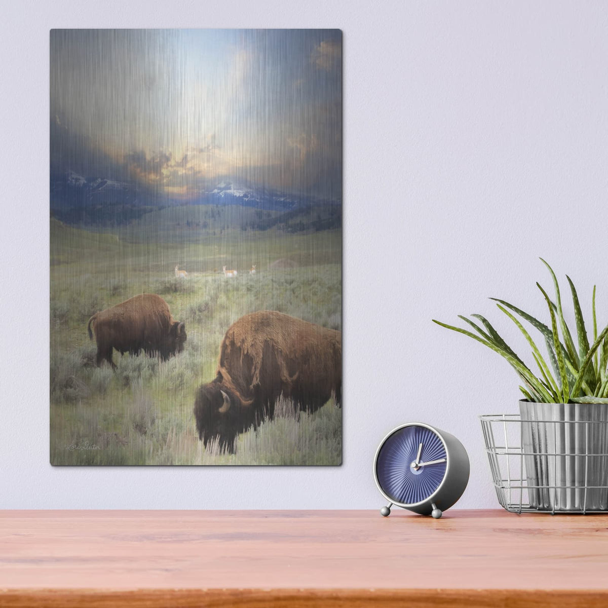 'Great American West' by Lori Deiter – Metal Wall Art, 12x16 room view
